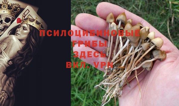МДМА Алексин
