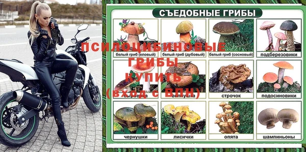 apvp Алексеевка