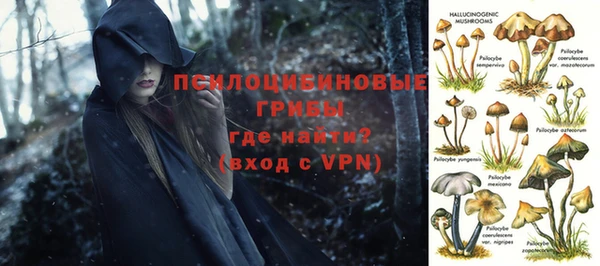 apvp Алексеевка